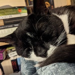 Meet your Posher, Sam